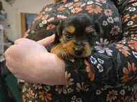 processed/9cb36407-3f3c-4ecc-9e9e-99d40bbdbff8/listing/4e29af06-df26-40c4-a65a-54911e6edaa5/6eef7554-f6cc-4615-b507-36f0f804f7e4