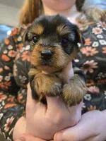 processed/9cb36407-3f3c-4ecc-9e9e-99d40bbdbff8/listing/4e29af06-df26-40c4-a65a-54911e6edaa5/9c1c761a-e954-4611-aac9-6fcd034c417f