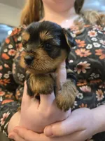 processed/9cb36407-3f3c-4ecc-9e9e-99d40bbdbff8/listing/4e29af06-df26-40c4-a65a-54911e6edaa5/a9ceb215-fb32-42b6-b694-d2448146c271