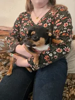 processed/9cb36407-3f3c-4ecc-9e9e-99d40bbdbff8/listing/5965e082-1881-4c91-aeb7-78548d9d9731/0b72a7a3-e10c-4760-8379-dd9d575b2040