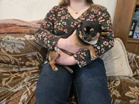 processed/9cb36407-3f3c-4ecc-9e9e-99d40bbdbff8/listing/5965e082-1881-4c91-aeb7-78548d9d9731/87baa3e9-ab78-4631-8dbc-7eb46eaef1b2