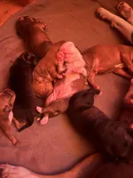 processed/9cb5119a-79f0-41f2-b961-83335b7188e5/facility/7965595b-3f25-4ac1-bde1-961e02de5818