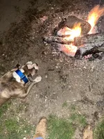 processed/9cb5119a-79f0-41f2-b961-83335b7188e5/facility/81ee3281-bccc-43aa-95a3-8f422da16cab