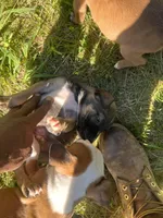 processed/9cb5119a-79f0-41f2-b961-83335b7188e5/facility/b606788a-ab1c-4ca5-a900-70c702461569