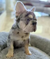 processed/9cb54016-13b4-4b15-8850-6bcde52b3370/listing/0e206d23-9bfe-4581-b0b2-e822545a564a/19bfcf42-98ba-4236-af7d-f16f6f7f0076