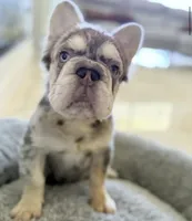 processed/9cb54016-13b4-4b15-8850-6bcde52b3370/listing/0e206d23-9bfe-4581-b0b2-e822545a564a/ca85e176-2473-4ebb-9314-4e9eeb3d0172