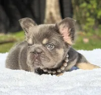 processed/9cb54016-13b4-4b15-8850-6bcde52b3370/listing/1bb4b594-c071-4646-becc-ba5e8660d9a0/062e5c53-122d-4c37-b7ab-30a896d58611