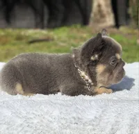 processed/9cb54016-13b4-4b15-8850-6bcde52b3370/listing/1bb4b594-c071-4646-becc-ba5e8660d9a0/2582d8c4-1c33-44ce-b9a8-64ea96b33a81