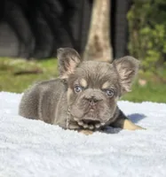 processed/9cb54016-13b4-4b15-8850-6bcde52b3370/listing/1bb4b594-c071-4646-becc-ba5e8660d9a0/80aabf40-0c7e-4445-9dd0-1aa7c73b0cf1