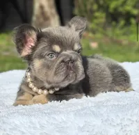 processed/9cb54016-13b4-4b15-8850-6bcde52b3370/listing/1bb4b594-c071-4646-becc-ba5e8660d9a0/81f0f72a-0cfb-4e96-82f7-d0327651e841