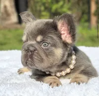 processed/9cb54016-13b4-4b15-8850-6bcde52b3370/listing/1bb4b594-c071-4646-becc-ba5e8660d9a0/95983bf3-262c-42e6-abf3-0a81e85b6a24