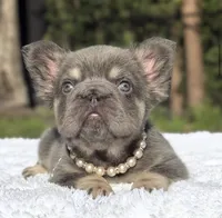 processed/9cb54016-13b4-4b15-8850-6bcde52b3370/listing/1bb4b594-c071-4646-becc-ba5e8660d9a0/998addc5-7079-43f6-9029-74a8d6b17039