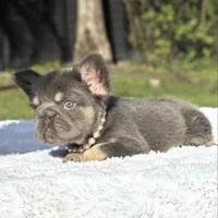 processed/9cb54016-13b4-4b15-8850-6bcde52b3370/listing/1bb4b594-c071-4646-becc-ba5e8660d9a0/b1f5be03-d01a-4fbe-ae5f-2f226ed17e19