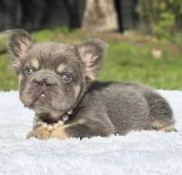 processed/9cb54016-13b4-4b15-8850-6bcde52b3370/listing/1bb4b594-c071-4646-becc-ba5e8660d9a0/b457d0c7-20b3-445e-a17a-5ad2ac0d0e60