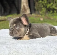 processed/9cb54016-13b4-4b15-8850-6bcde52b3370/listing/1bb4b594-c071-4646-becc-ba5e8660d9a0/f3bb5ee0-711c-4914-acde-92cb5099f2f4