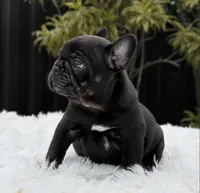 processed/9cb54016-13b4-4b15-8850-6bcde52b3370/listing/46f8cbb9-f63e-4e9c-bbb5-26633df2601f/00c86a67-d272-4864-a7cb-5b179430243b