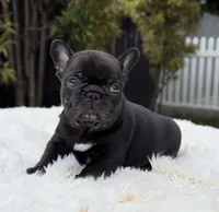 processed/9cb54016-13b4-4b15-8850-6bcde52b3370/listing/46f8cbb9-f63e-4e9c-bbb5-26633df2601f/58928b4b-8e2d-4598-933e-cf17b6b87dc4