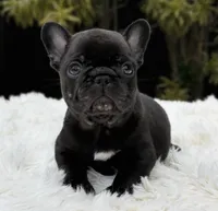 processed/9cb54016-13b4-4b15-8850-6bcde52b3370/listing/46f8cbb9-f63e-4e9c-bbb5-26633df2601f/86d8e43e-5d2f-428a-a5a5-e2998829efb2