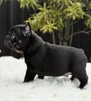 processed/9cb54016-13b4-4b15-8850-6bcde52b3370/listing/46f8cbb9-f63e-4e9c-bbb5-26633df2601f/8ad7ac51-e052-44b1-866e-76343f582c71