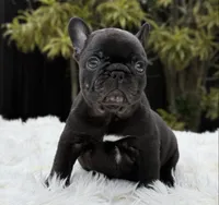 processed/9cb54016-13b4-4b15-8850-6bcde52b3370/listing/46f8cbb9-f63e-4e9c-bbb5-26633df2601f/f569c1bc-5108-434f-9959-21466fd4cea1