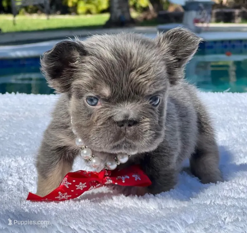 Candy Fluffy Big Rope