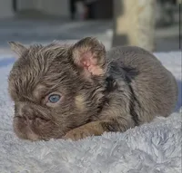 processed/9cb54016-13b4-4b15-8850-6bcde52b3370/listing/c32feaaf-537f-4aa0-8491-7b8c22fc6679/2fe93919-321f-4563-87f4-35cc042d0472