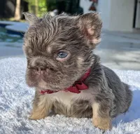 processed/9cb54016-13b4-4b15-8850-6bcde52b3370/listing/c32feaaf-537f-4aa0-8491-7b8c22fc6679/4723c857-0ab4-412e-977c-5cddc78b57ab