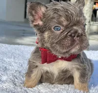 processed/9cb54016-13b4-4b15-8850-6bcde52b3370/listing/c32feaaf-537f-4aa0-8491-7b8c22fc6679/5ca47205-c176-4f83-9af0-481c4cecedd2