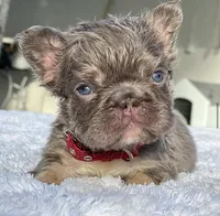 processed/9cb54016-13b4-4b15-8850-6bcde52b3370/listing/c32feaaf-537f-4aa0-8491-7b8c22fc6679/72929d68-d212-44be-9f0a-2266fc651560