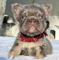 processed/9cb54016-13b4-4b15-8850-6bcde52b3370/listing/c32feaaf-537f-4aa0-8491-7b8c22fc6679/ee62495e-afb6-4360-b2a8-39df6075bdde