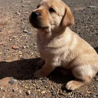 processed/9cb55854-2612-4ecf-a340-cd82007b13ab/facility/00861f88-aad8-4270-8d6a-d56523c02947