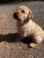 processed/9cb55854-2612-4ecf-a340-cd82007b13ab/facility/00861f88-aad8-4270-8d6a-d56523c02947