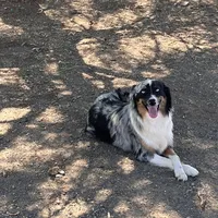 processed/9cb55854-2612-4ecf-a340-cd82007b13ab/facility/1638e017-ff01-4252-8ceb-9ee3298ce86d