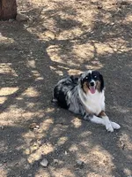 processed/9cb55854-2612-4ecf-a340-cd82007b13ab/facility/1638e017-ff01-4252-8ceb-9ee3298ce86d