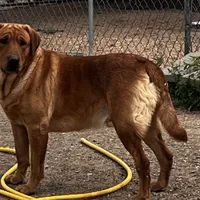 processed/9cb55854-2612-4ecf-a340-cd82007b13ab/facility/19b7f04e-4d8e-4ae8-8c97-899fe076612a