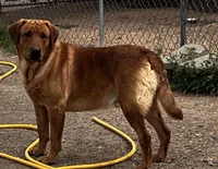 processed/9cb55854-2612-4ecf-a340-cd82007b13ab/facility/19b7f04e-4d8e-4ae8-8c97-899fe076612a