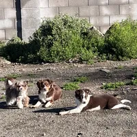 processed/9cb55854-2612-4ecf-a340-cd82007b13ab/facility/55c0b25e-0977-49b1-a498-67dc41cec94c