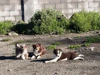 processed/9cb55854-2612-4ecf-a340-cd82007b13ab/facility/55c0b25e-0977-49b1-a498-67dc41cec94c