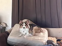 processed/9cb55854-2612-4ecf-a340-cd82007b13ab/facility/57621249-35b9-4d6d-8b20-e88dca3a2ddc