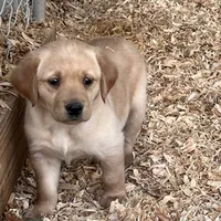 processed/9cb55854-2612-4ecf-a340-cd82007b13ab/facility/801b57c9-2957-406c-a660-bee0bf06a0ea