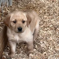 processed/9cb55854-2612-4ecf-a340-cd82007b13ab/facility/801b57c9-2957-406c-a660-bee0bf06a0ea