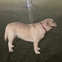 processed/9cb55854-2612-4ecf-a340-cd82007b13ab/facility/89ae80b8-60ff-42ec-bdcc-c0577744438a