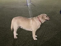 processed/9cb55854-2612-4ecf-a340-cd82007b13ab/facility/89ae80b8-60ff-42ec-bdcc-c0577744438a