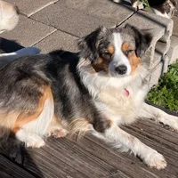 processed/9cb55854-2612-4ecf-a340-cd82007b13ab/facility/aef07ce5-51fc-49d6-81ce-aba0a34680f0