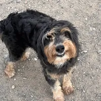 processed/9cb55854-2612-4ecf-a340-cd82007b13ab/facility/b4c37693-d4e5-401f-ac63-52709132fe2d