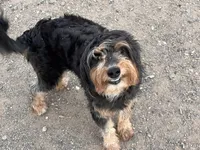 processed/9cb55854-2612-4ecf-a340-cd82007b13ab/facility/b4c37693-d4e5-401f-ac63-52709132fe2d