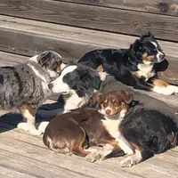 processed/9cb55854-2612-4ecf-a340-cd82007b13ab/facility/ff480c67-21a3-42d0-ae68-4e5d12c42aa3