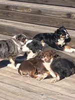 processed/9cb55854-2612-4ecf-a340-cd82007b13ab/facility/ff480c67-21a3-42d0-ae68-4e5d12c42aa3