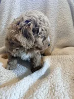 processed/9cb55854-2612-4ecf-a340-cd82007b13ab/listing/57dfc28c-3157-4144-b9b1-f425570cb2dd/7e8e69c3-f308-4ef9-8039-090da8a5da68