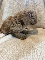 processed/9cb55854-2612-4ecf-a340-cd82007b13ab/listing/57dfc28c-3157-4144-b9b1-f425570cb2dd/8f5b535a-4581-4ab1-b212-786aa8ecfba7